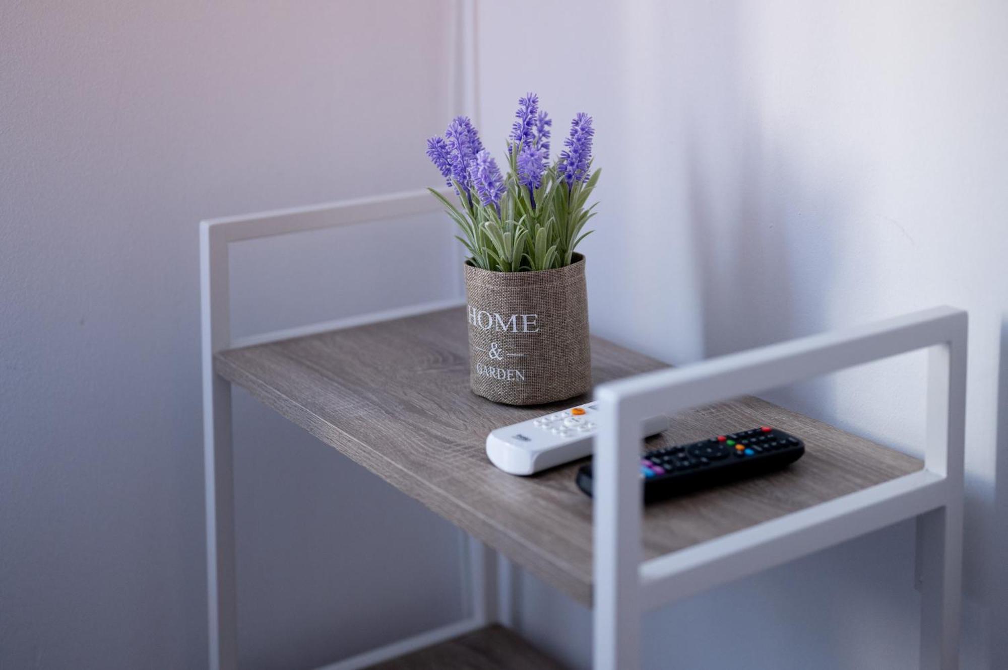 Moise House - Kosher Apartment 3*